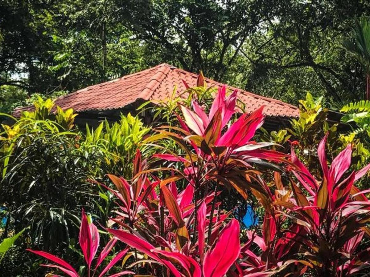 Casa Colores モンテスマ エクステリア 写真