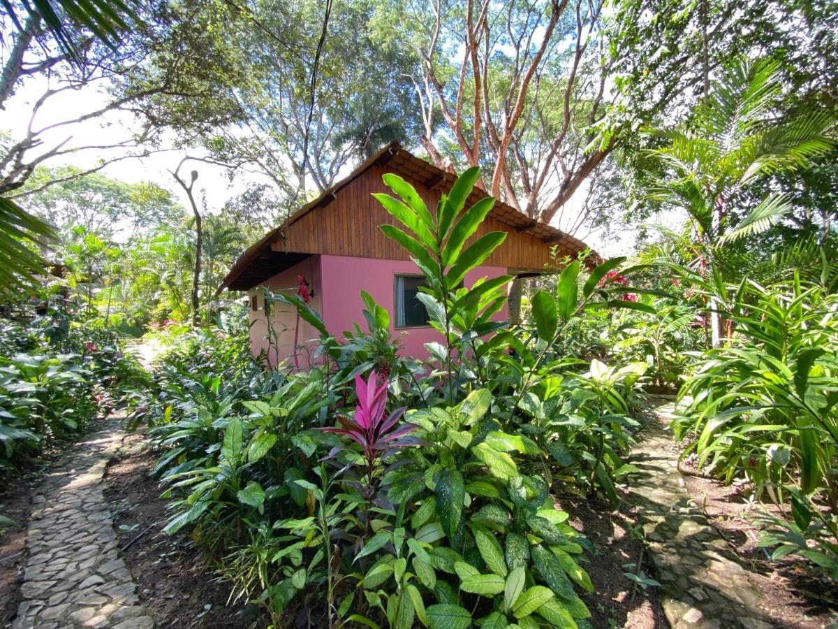 Casa Colores モンテスマ エクステリア 写真