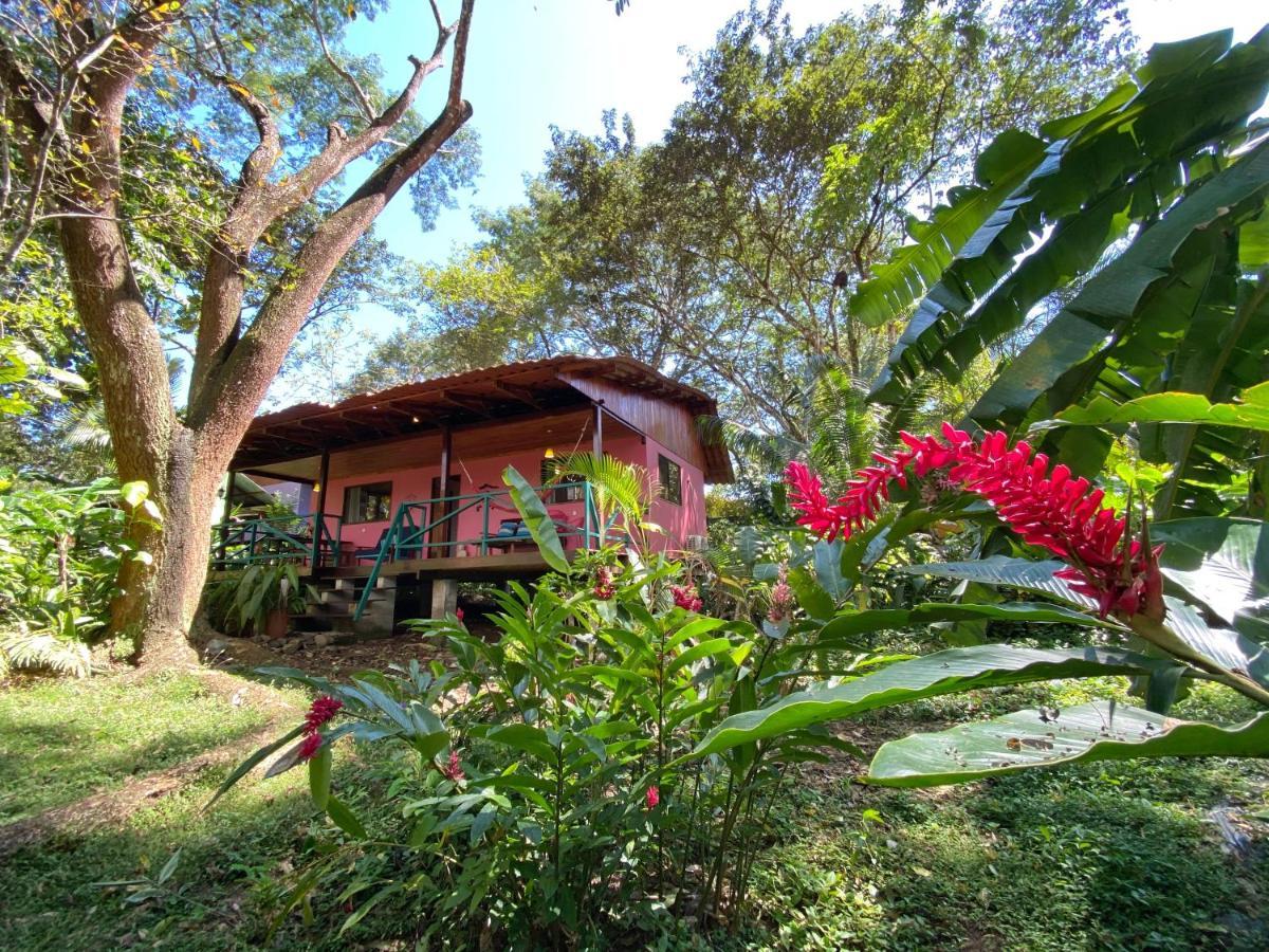 Casa Colores モンテスマ エクステリア 写真