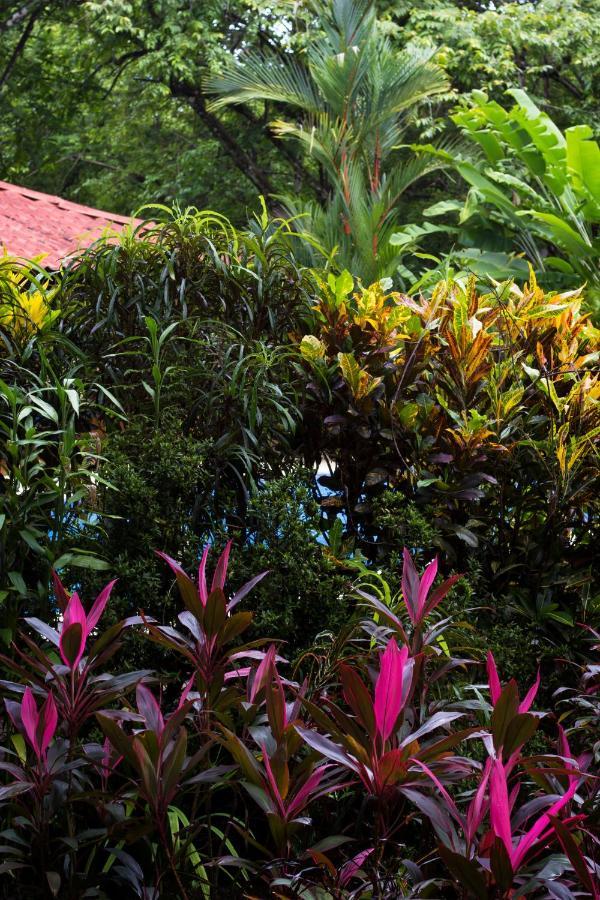 Casa Colores モンテスマ エクステリア 写真