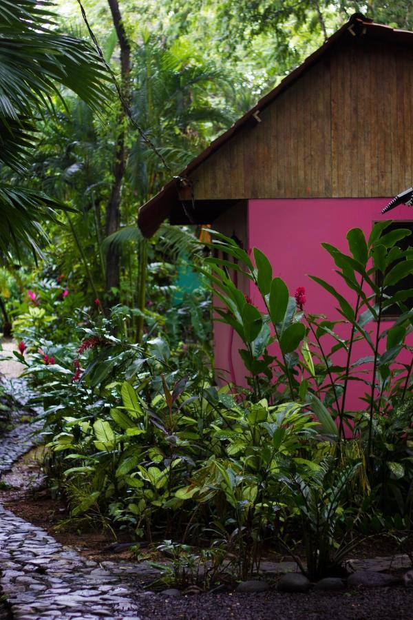 Casa Colores モンテスマ エクステリア 写真